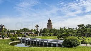 世界杯官网 商丘绿化公司袁美华