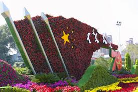 FIFA2026官方网站入口 江阴绿化苗木市场完了